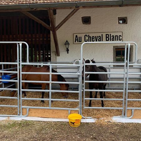 Hotel Au Cheval Blanc Asuel Exterior foto